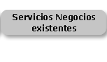 Services to Existing Ventures